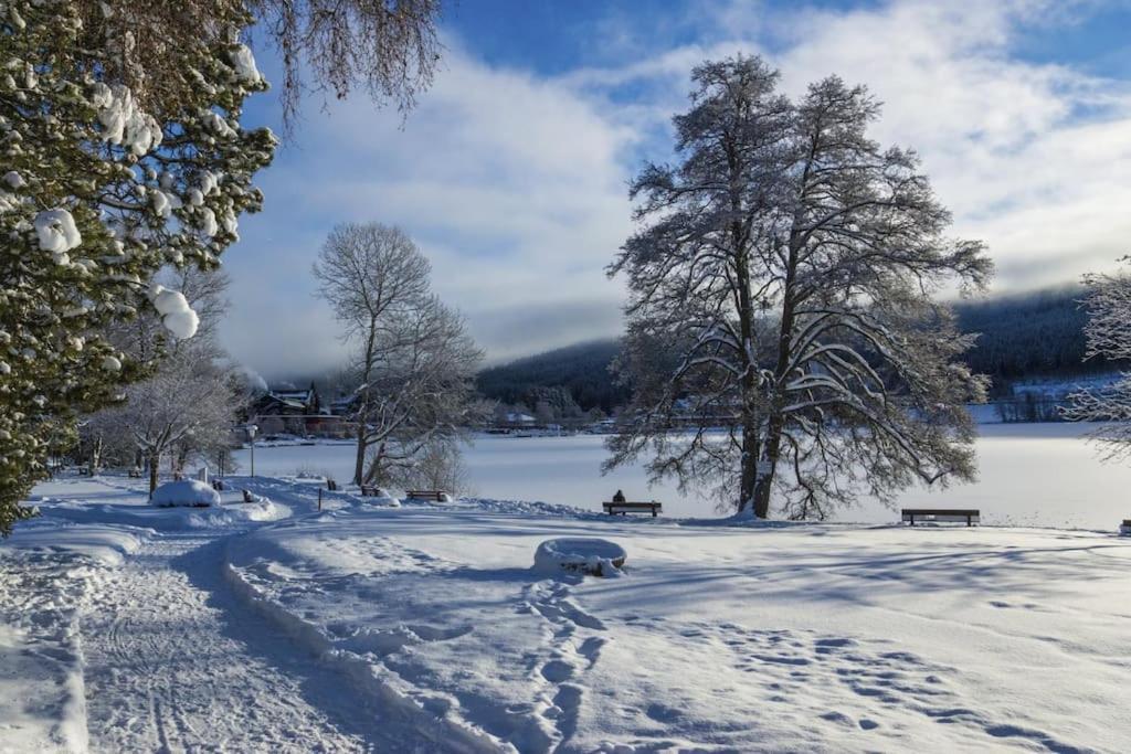 Waldblick Titisee Екстер'єр фото