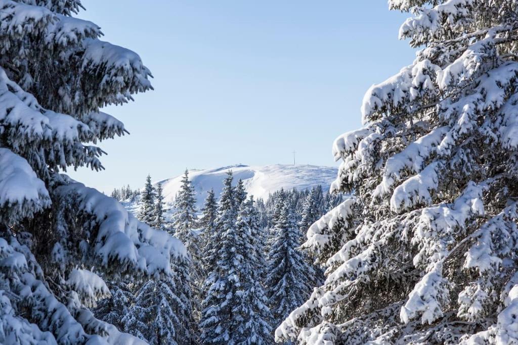Waldblick Titisee Екстер'єр фото
