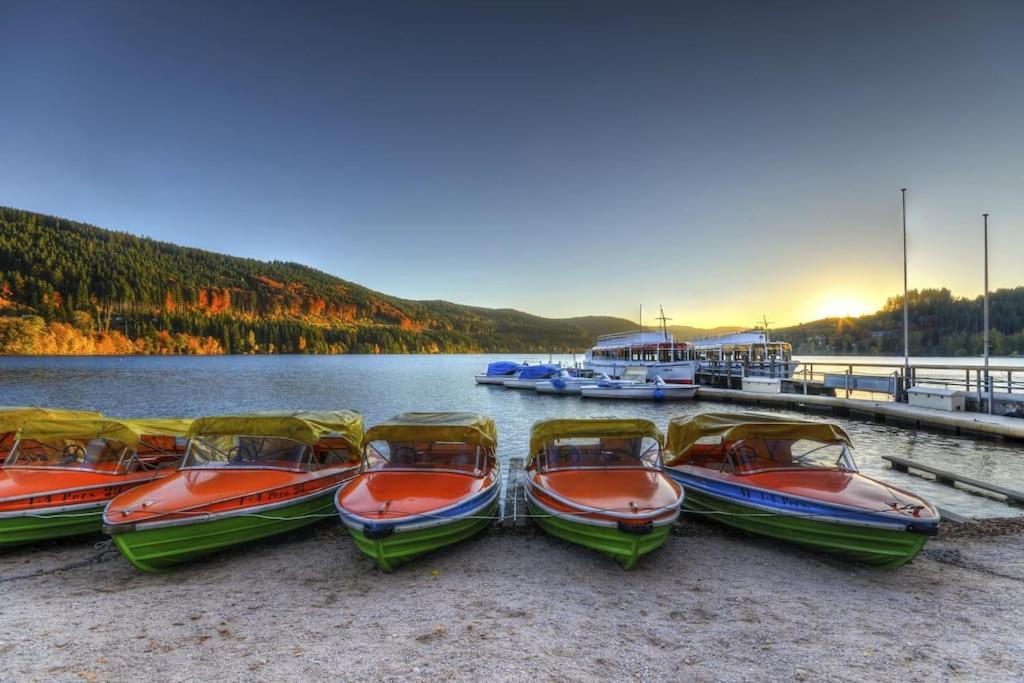 Waldblick Titisee Екстер'єр фото